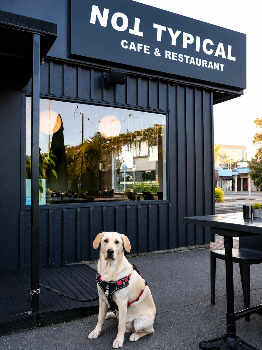 Dog seated outside Not typical Cafe & Restaurant in Sumner
